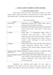 Vidaus audito organizavimas įmonėje 4 puslapis