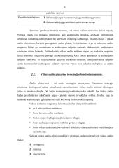 Vidaus audito organizavimas įmonėje 10 puslapis