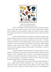 Verslo dovanų etiketas Lietuvoje 4 puslapis