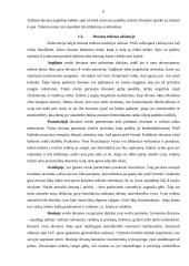 Verslo dovanų etiketas Lietuvoje 5 puslapis