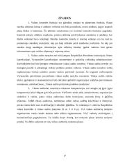 Vidaus auditorių funkcijos bei kompetencijos 17 puslapis