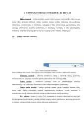 Vidaus auditorių funkcijos bei kompetencijos 4 puslapis