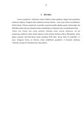 Turizmo objektai Mažeikių rajone 10 puslapis