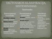 Tautosaka skaidrės 6 puslapis