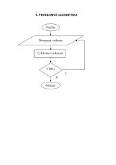 Autotransporto elektronikos kursinis darbas 12 puslapis