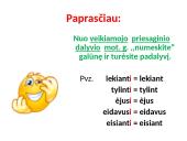 Pusdalyviai ir padalyviai 11 puslapis
