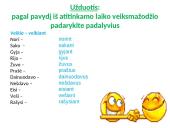 Pusdalyviai ir padalyviai 12 puslapis