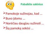 Pusdalyviai ir padalyviai 17 puslapis