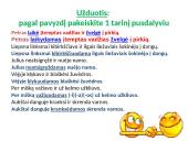 Pusdalyviai ir padalyviai 9 puslapis