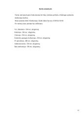 Kino teatras ,,Kinas kitaip“ 13 puslapis