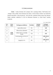 Kino teatras ,,Kinas kitaip“ 8 puslapis