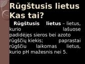 Rūgštieji lietūs, jų susidarymas, reikšmė žemei 2 puslapis