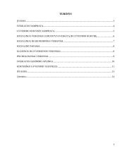 Gyvenimo kokybės priklausomybė nuo sveikatos 2 puslapis