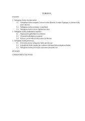 Nelegalus darbas, jo kontrolė ir prevencija