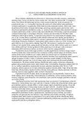 Nelegalus darbas, jo kontrolė ir prevencija 12 puslapis