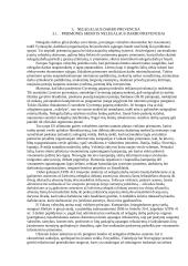 Nelegalus darbas, jo kontrolė ir prevencija 16 puslapis