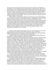 Nelegalus darbas, jo kontrolė ir prevencija 5 puslapis