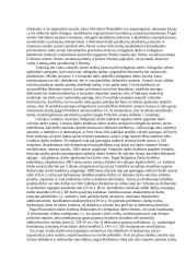 Nelegalus darbas, jo kontrolė ir prevencija 6 puslapis