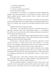 Žmogaus ir vaiko teisės 2 puslapis