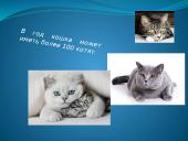 Faktai apie gyvūnus 6 puslapis