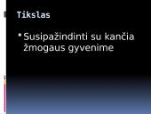 Kančios įprasminimas žmogaus gyvenime 2 puslapis