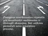 Kančios įprasminimas žmogaus gyvenime 15 puslapis