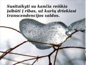 Kančios įprasminimas žmogaus gyvenime 18 puslapis