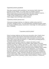 Tarptautinės prekybos kursinis 3 puslapis