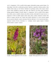 Miškatundrių ir miškapievių biomų augalija bei gyvūnija 9 puslapis