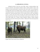 Miškatundrių ir miškapievių biomų augalija bei gyvūnija 10 puslapis