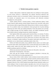 Tikslinė kaštų apskaita 3 puslapis