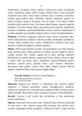 Medžioklėtyra 12 puslapis