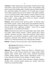 Medžioklėtyra 14 puslapis