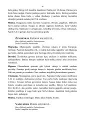 Medžioklėtyra 16 puslapis