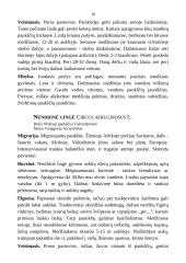 Medžioklėtyra 18 puslapis