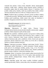 Medžioklėtyra 19 puslapis