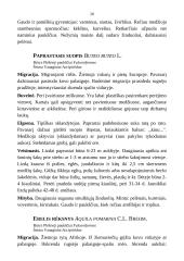 Medžioklėtyra 20 puslapis