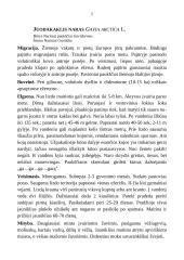 Medžioklėtyra 5 puslapis