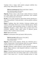 Medžioklėtyra 7 puslapis