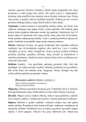 Medžioklėtyra 8 puslapis