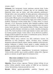 Medžioklėtyra 9 puslapis