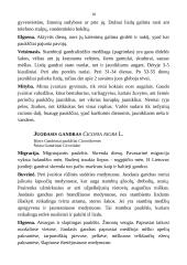 Medžioklėtyra 10 puslapis