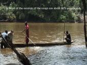 Kriptozoologija 11 puslapis