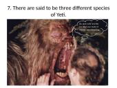 Kriptozoologija 14 puslapis