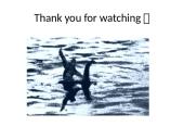 Kriptozoologija 15 puslapis