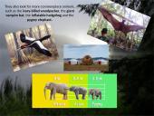 Kriptozoologija 3 puslapis