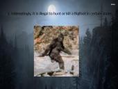 Kriptozoologija 8 puslapis