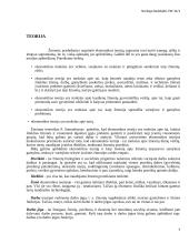 Lietuvos ir Ispanijos makroekonominių rodiklių analizė 4 puslapis