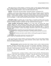 Lietuvos ir Ispanijos makroekonominių rodiklių analizė 5 puslapis