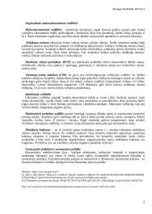 Lietuvos ir Ispanijos makroekonominių rodiklių analizė 6 puslapis